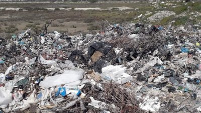 عز الدين الدايخ ل"الشعب نيوز": جريمة بيئية وصحية في بن عروس