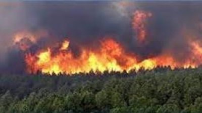 حريق هائل بالمنطقة العسكرية المغلقة بجبل مغيلة