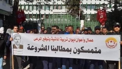 في ديوان تربية الماشية وتوفير المرعى: القانون الأساسي، التطهير المالي والهيكل التنظيمي أولى هواجس الأعوان