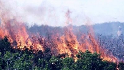 حريق جبل سلوم تواصل لايام دون تدخل وخطره اقترب من المتساكنين
