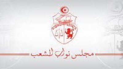 العنف في البرلمان التونسي : بين قوة الحجة وحجة القوة