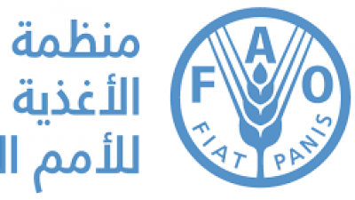 تراجع الأسعار العالمية للحبوب بنسبة 03 بالمائة خلال شهر جويلية