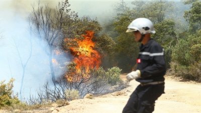 في يوم واحد.. الحماية المدنية تتدخل لاطفاء 58 حريقا