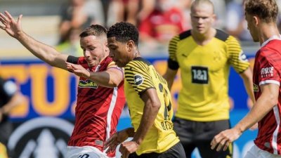 الدوري الالماني: سقوط مفاجئ لـ بوروسيا دوتموند وفوز مهم لـ فولفسبورغ وبوخوم