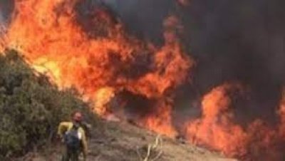 العميد معز تريعة للشعب نيوز.." مازلنا نسجل عشرات الحرائق يوميا ولكن حدتها انخفضت"