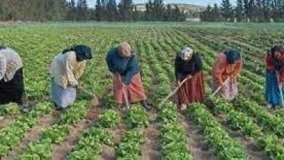 أوضاع لافتة في الفلاحة ،اللجان المتناصفة ،الحاق بمحاكم صفاقس ، تعاونية الثافة وطلبة تونس في المغرب