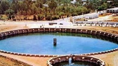 بتة لبيع 390 شجرة كالتوس بالمركب الفلاحي الفجيج.. النقابة تحتج وديوان الاراضي الدولية يتعهد بالتدخل