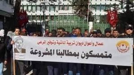 عمال واعوان ديوان تربية الماشية مصرون على صرف مستحقاتهم من بقية المنحة الخاصة من الخزينة المركزية نقدا