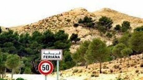 رفض الافراج عن نائب بالبرلمان متهم بالاستيلاء على 18 هكتارا من جبل فريانة