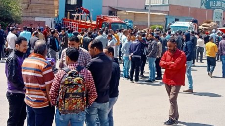 مصر: لماذا أضرب عمّال شركة " نايل لينين جروب" عن العمل؟