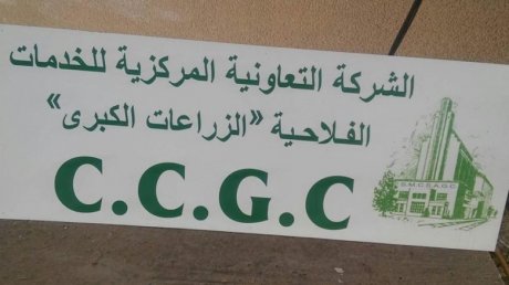 في الزراعات الكبرى: اهانات وانتهاك للحق النقابي واستمرار الوضعيات المهنية الهشة