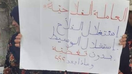 العاملات الفلاحيات بجبنيانة ينفذن وقفة احتجاجية