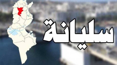 سليانة..تسجيل 156 محضر بحث ومخالفات تتعلق بالاحتكار والترفيع في الاسعار
