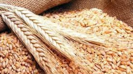 مفاوضات روسية أوكرانية للافراج عن بواخر الحبوب بوساطة أممية تركية