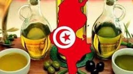 زيت الزيتون يفوز ب21 جائزة ذهبية في امريكا