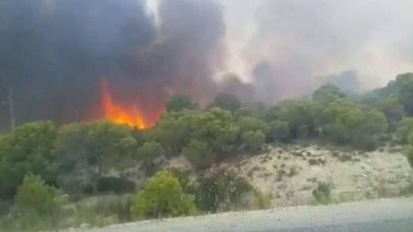 اندلاع حريق بجبل السّرج بالقيروان