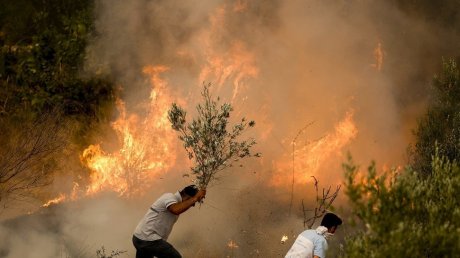 تسجيل 118 حريقا بالمناطق الغابية في شهرين