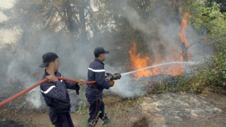 السيطرة نهائيا على حريق جبل برقو واندلاع آخر في كسرى