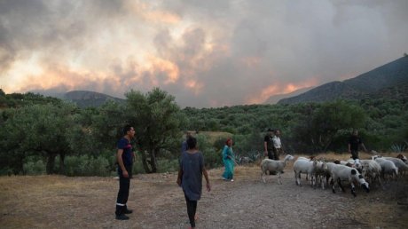 السيطرة على حريق اندلع بجبل مزاتة في برقو