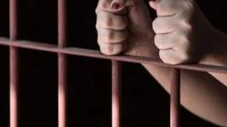 سجن 3 ممرضات بتهمة تصوير جثمان نيرة أشرف في مصر