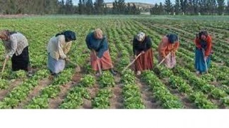 وضع لا يطاق في قطاع الفلاحة واضراب مقبل يوم 25 اوت في سليانة