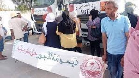 تصعيد في التحركات الاحتجاجية للعاملين في شركة البستنة قررها اتحاد قبلي