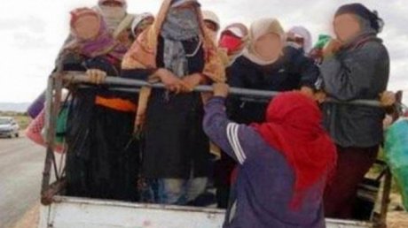 وفاة عاملة بالقطاع الفلاحي في حادث مرور بسيدي بوزيد