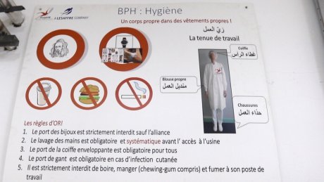 تلكؤ الحكومة يهدد مصير مصنع الخميرة ويفاقم الوضع البيئي من جندوبة