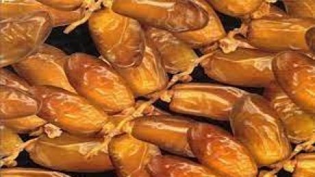 ارتفاع عائدات صادرات التمور من العملة الصعبة بـ 12 %