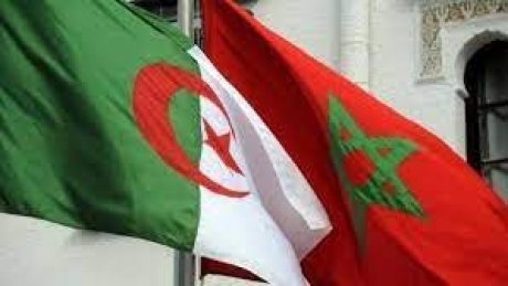 الجزائر تدعو إلى استئناف "المفاوضات المباشرة" بين المغرب والبوليساريو