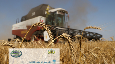 تراجع أسعار القمح اللين والصلب بالسوق العالمية خلال أوت 2022