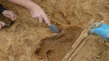 خبراء آثار في جورجيا يعثرون على سن بشرية عمرها 1.8 مليون عام