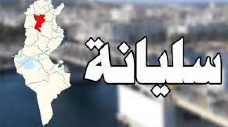 حجز حوالي 575 لترا من الزيت المهرب وعدد هام من حافظات الأقلام المهربة وبدلات رياضية ومبلغ مالي من العملة الليبية في سليانة