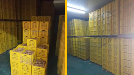 حجز 82 طنا من مادة البطاطا المعدة للاستهلاك بأحد المخازن بمنطقة دار علوش من ولاية نابل