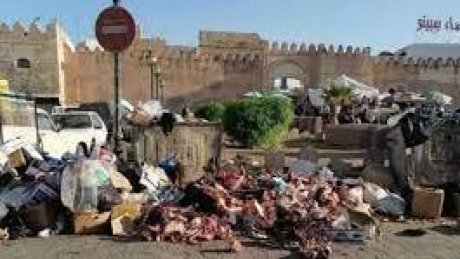 الجامعة العامة للبلديين تحذر من أن سيناريو الكارثة البيئية في صفاقس مرشح لأن يحدث في جهات أخرى