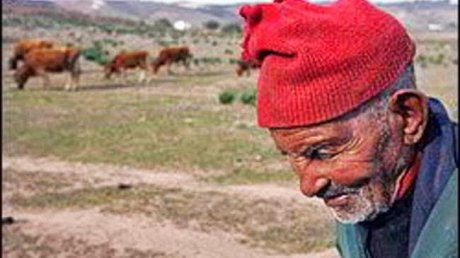 الجفاف في القصرين يضر بمربي المواشي وصغار الفلاحين