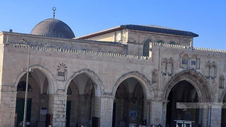 103 مستوطنين يقتحمون المسجد الأقصى