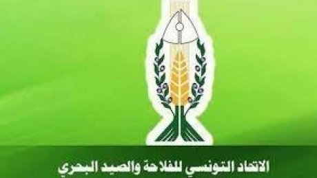 ممثل اتحاد الفلاحة : جائحة المياه ضربت رسميا الزراعات الكبرى والأشجار المثمرة
