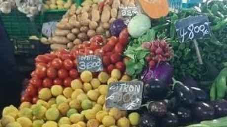 ارتفاع أسعار الضأن والخضر والاسماك خلال شهر مارس