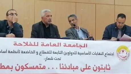 نقابيو دواوين الزيت والحبوب والاراضي الدولية يبسطون مطالبهم ويقررون مبدأ الاضراب