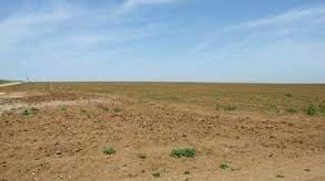 في أراضي الدولة المسترجعة في القيروان : توتر بسبب عدم صرف الأجور والاتحاد يدعو الى مقاربة تنموية تخدم الجهة
