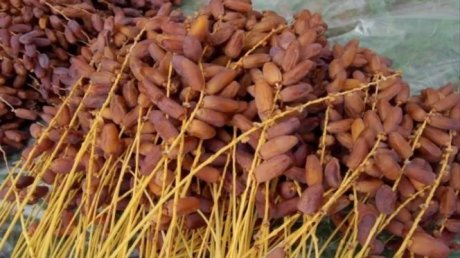 تصدير 90 الف طن من التمور العام الماضي، الى الأسواق التقليدية، فمتى نتجه الى اندونيسيا مثلا؟