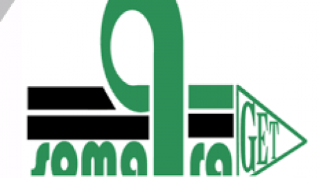 وضعية مالية صعبة ومستقبل مجهول لشركة السومتراجات