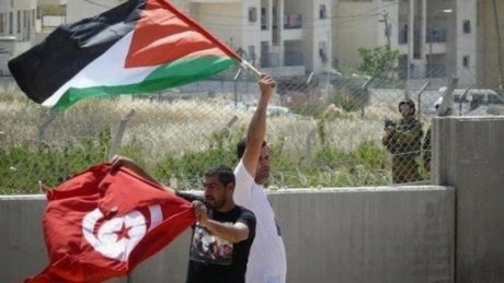 في ذكرى النكبة: تونس تجدد دعوتها الى وضع حد لانتهاكات الكيان المحتل واقامة دولة فلسطينية عاصمتها القدس