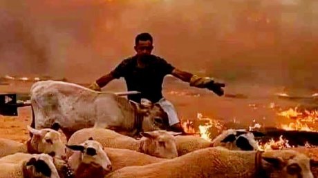الجزائر: 97 حريقا أسفر عن وفاة 15 ضحية و 26 جريحا