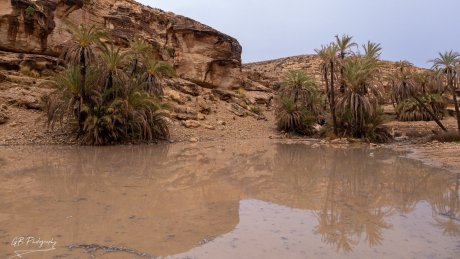 تطاوين: استبشار بنزول الغيث النافع ودعوة الى صيانة الفساقي العمومية ومسح المسالك الفلاحية للاستفادة من هذه الامطار