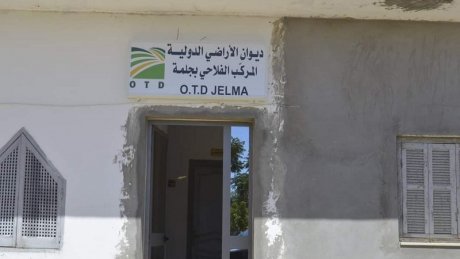 عمّال وإطارات المركب الفلاحي بجلمة بلا أجور