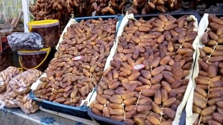 صابة التمور الجديدة تقدر ب390 ألف طن