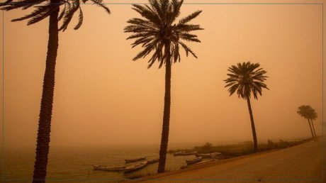 طقس اليوم: رياح قوية تثير الرمال والأتربة