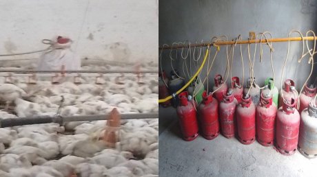 بن عروس: حجز كمية من قوارير الغاز المنزلي داخل مدجنة